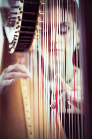 Harp-1